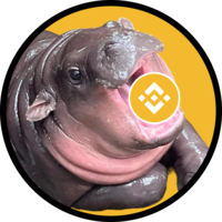 Baby_Hippo Meme