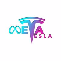 MetaTesla