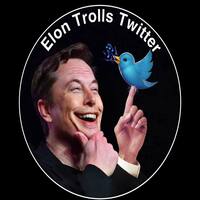 ELON TROLLS TWITTER