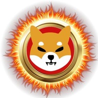 BLAZE TOKEN
