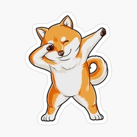 FlokiDab