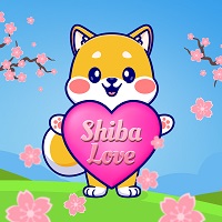 Shiba Love