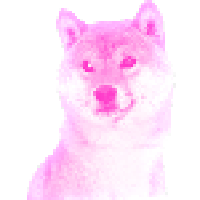 Sneaky Shibas