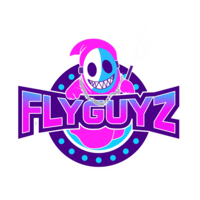 FlyGuyz Gaming