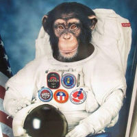 AstroChimp