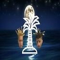 IslandBoyCoin