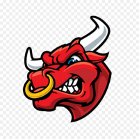 Bull Now