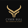 cyberbull finance