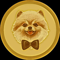 PomeranianINU
