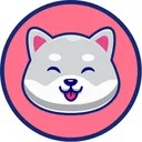 Kishu The Dog
