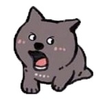 Doge Black