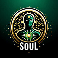 Soul token