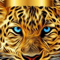 King bnb tiger