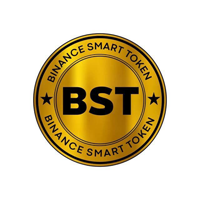 BINANCE SMART TOKEN