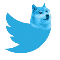 Tweety Doge