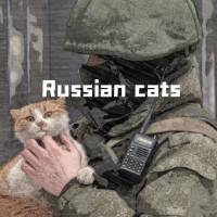 RussianCats