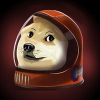 SPACE DOGE