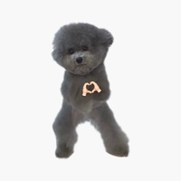 Puppypeace