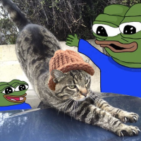 smolcatwifhat