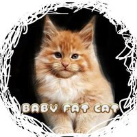Baby Fat Cat