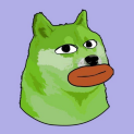 Bob doge