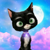 Stealth Launch Soon
