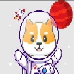 BonkFlokiGirl