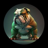 BullDoge