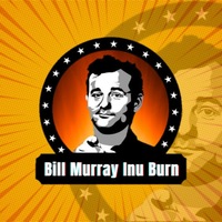 Bill Murray Inu Burn