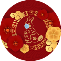 Rabbit Mask