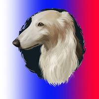 俄罗斯伊努