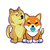 DOGE SHIBA