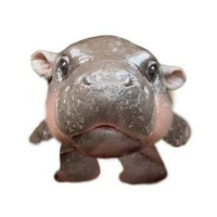 Mini MooDeng CTO