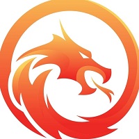 Dragon Fortune
