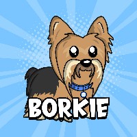 Borkie | Based Yorkie