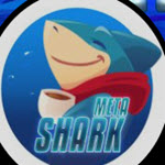 MetaShark