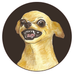 DOGI INU