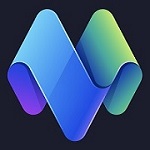 MetaVip