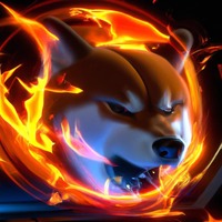 RAGE OF THE SHIBA