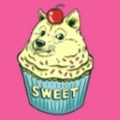 Norz Doge