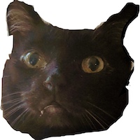 BItey Coin