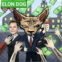 ELON DOG