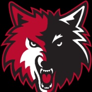 Wolfy INU