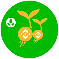 BNB Seed