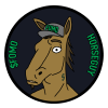 HORSE GUY AI