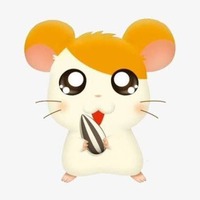 HAMTARO SEED