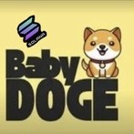BabyDoge on SOL