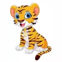 Bnb Tiger Inu