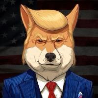 DonaldTrumpInu