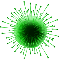 VIRUS MEME COIN